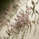 Illustration for article titled Mysterious, tiny human figures march across a wall
